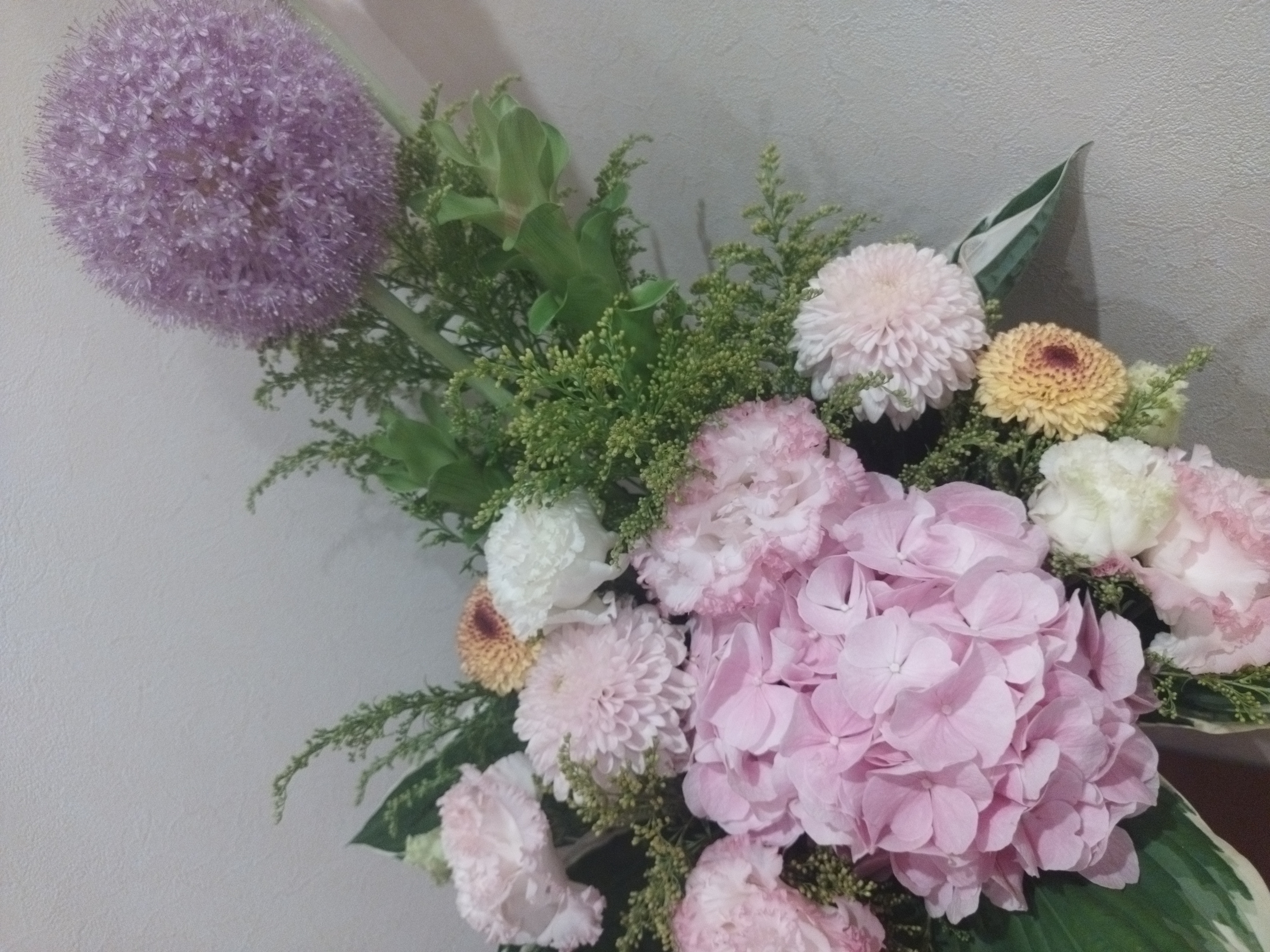 6月の生花