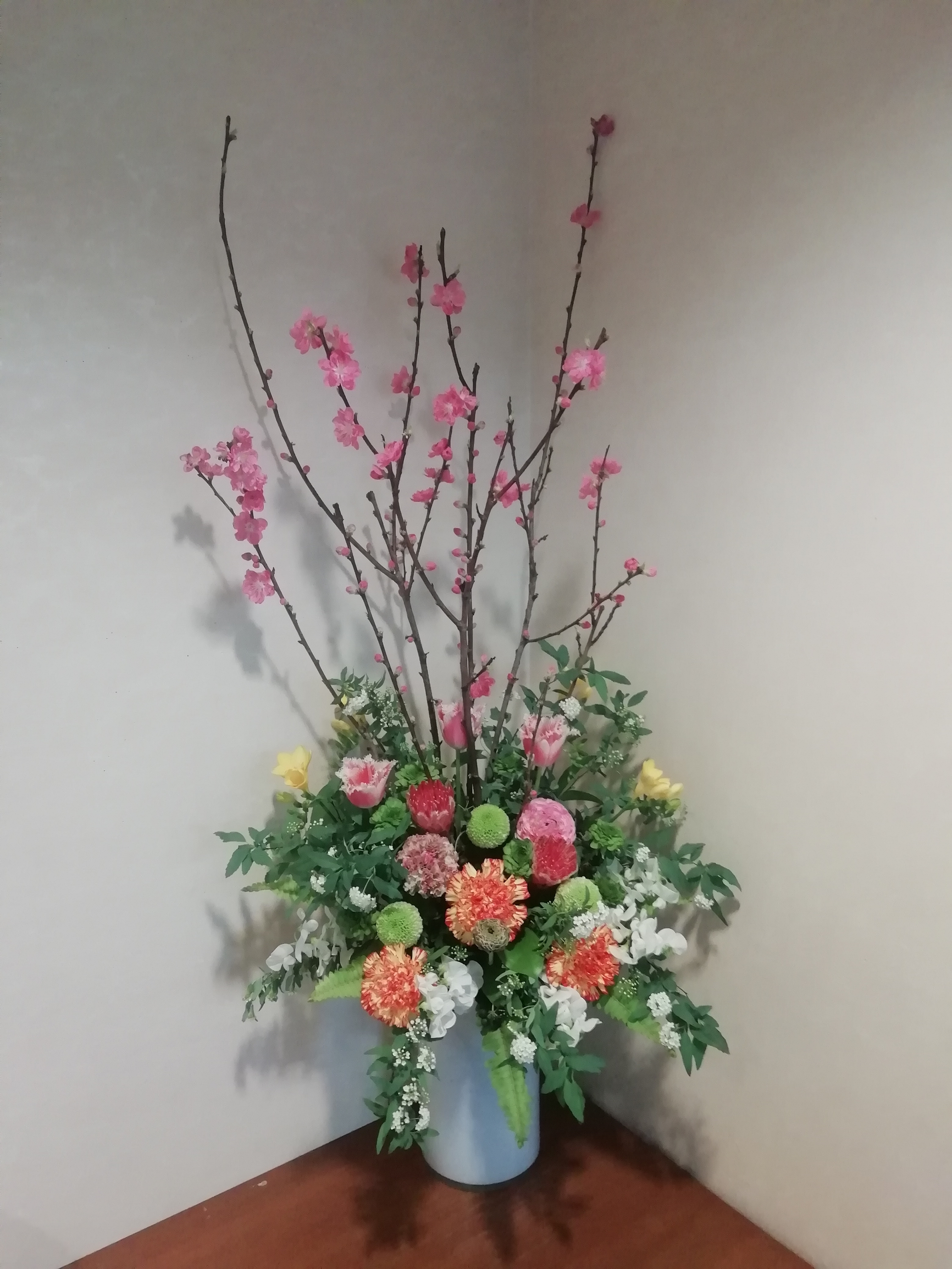 3/1生花