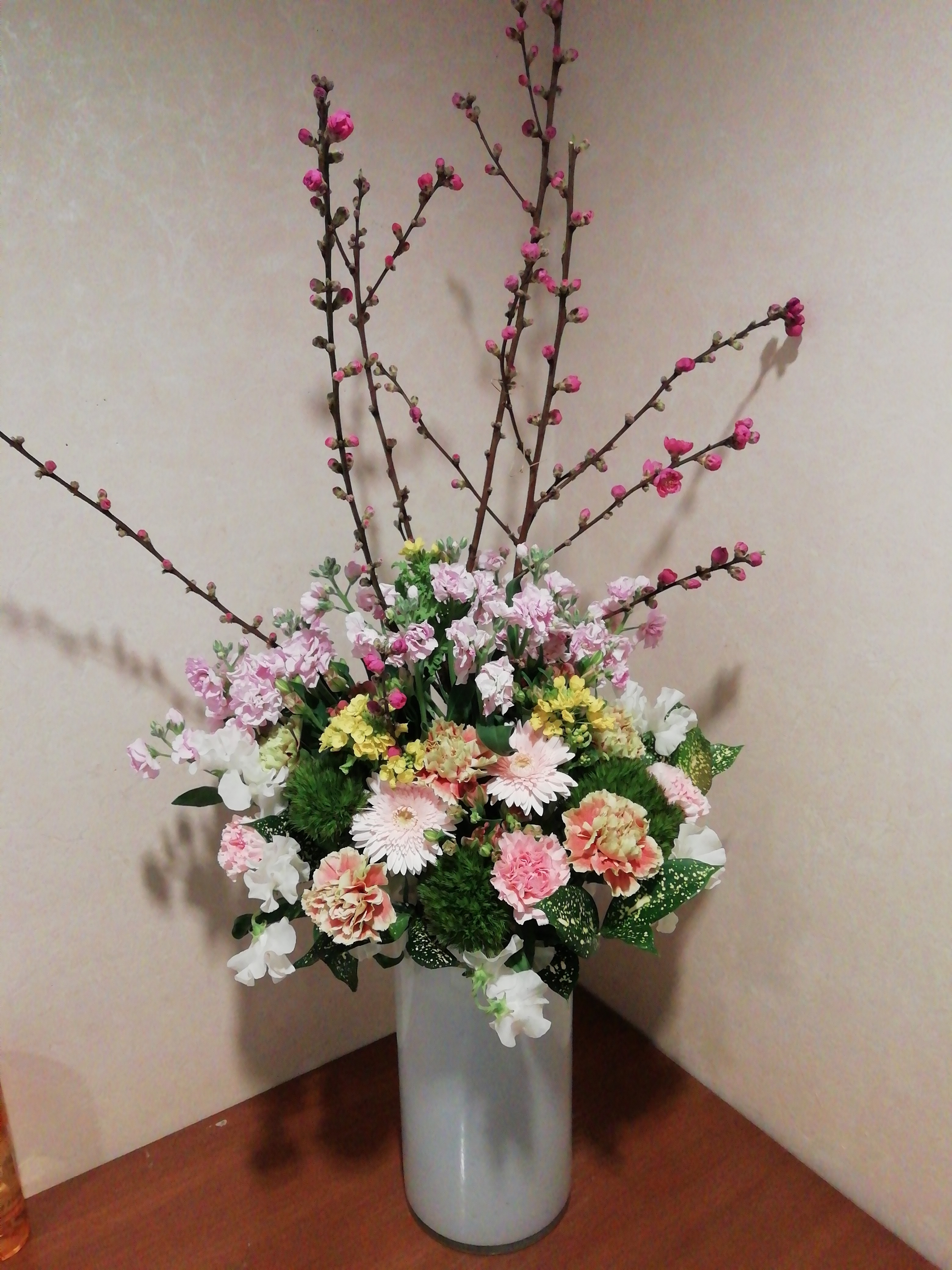 ピンクの桃の花の季節になりましたね。