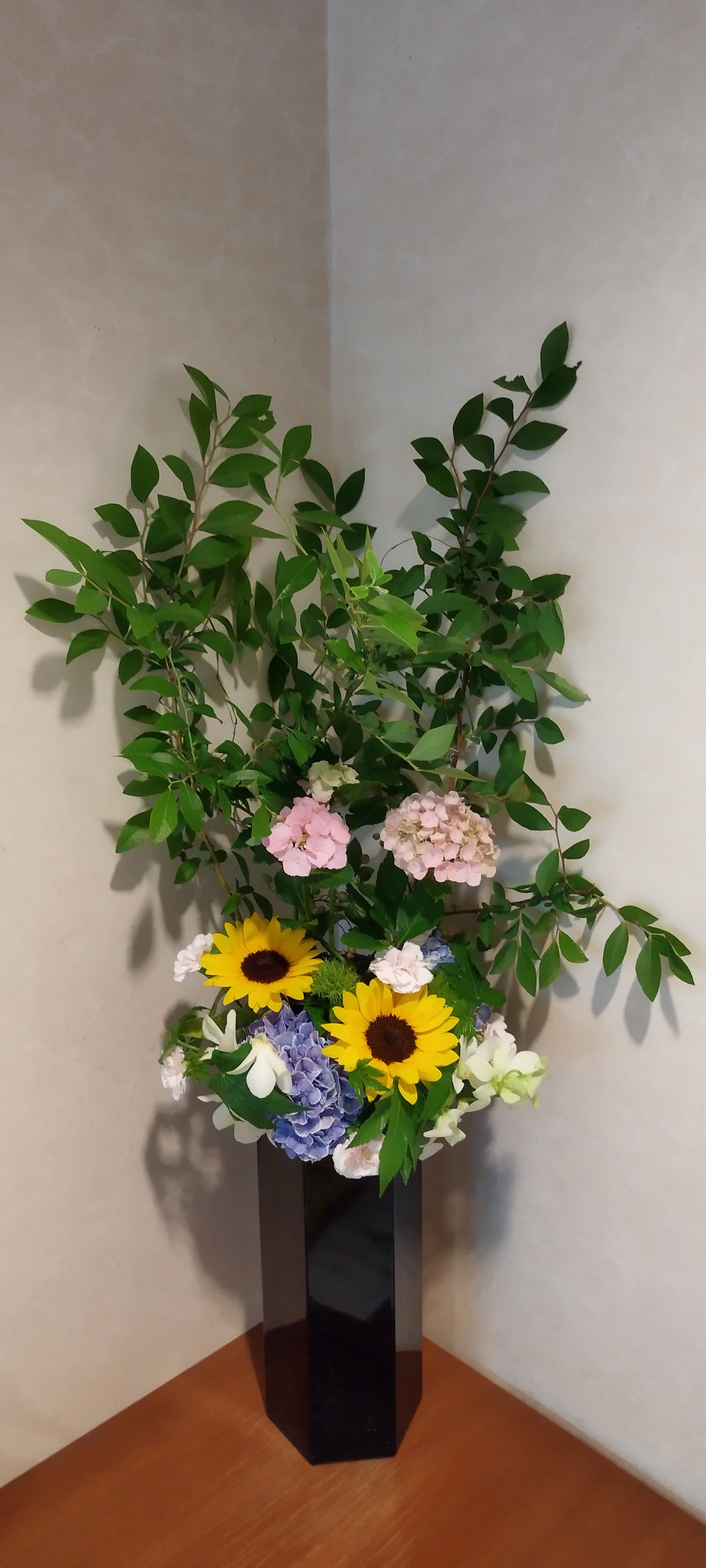6月第二週
