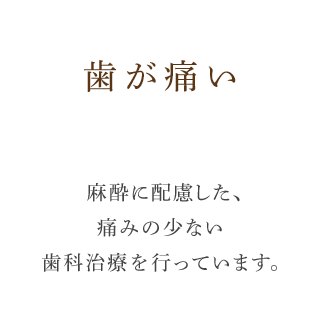 歯が痛い麻酔に配慮した、痛みの少ない歯科治療を行っています。