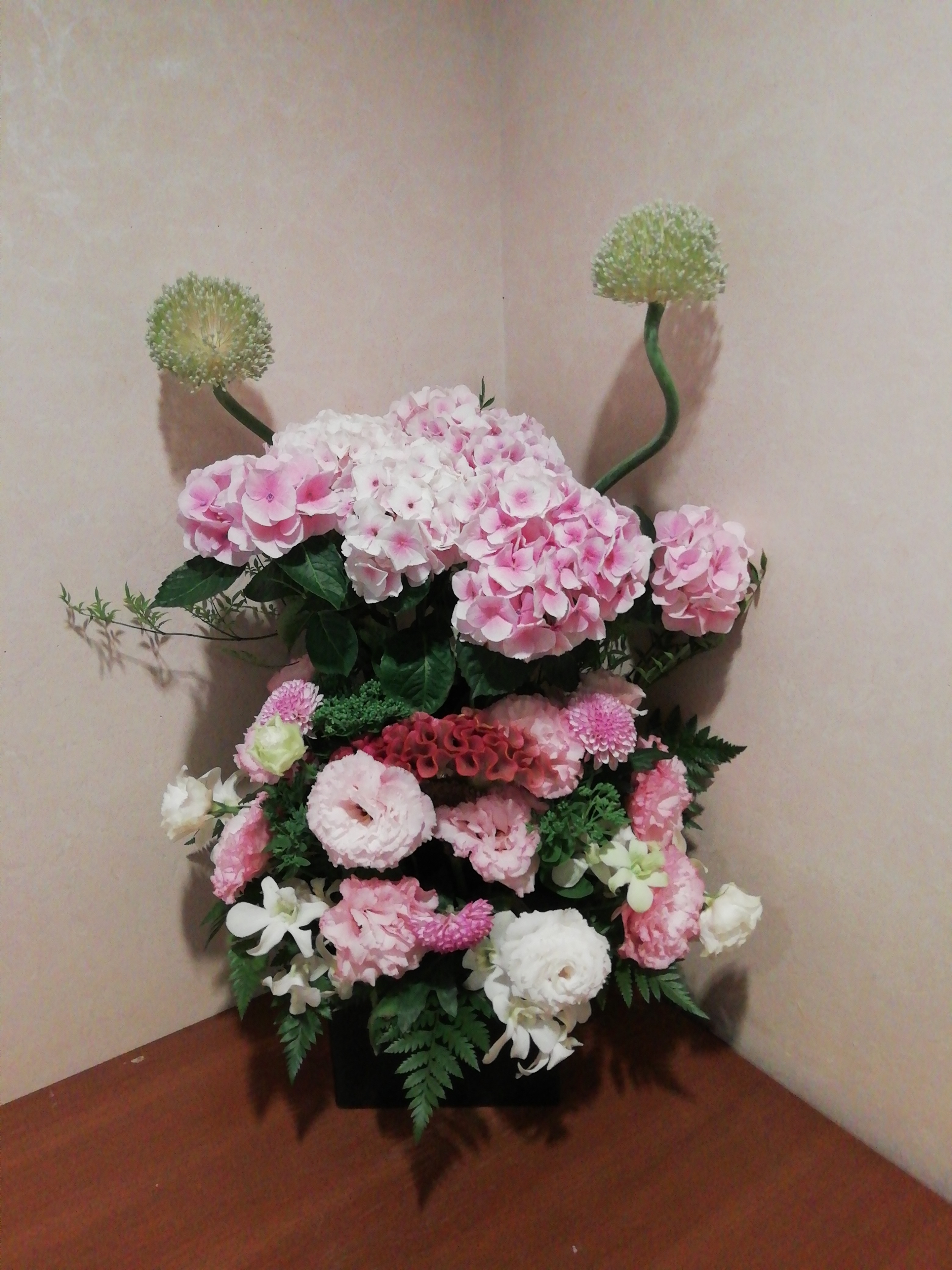 紫陽花